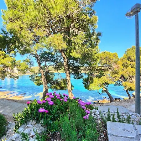 & Ruzmarin 3* Rogoznica (Sibenik-Knin)